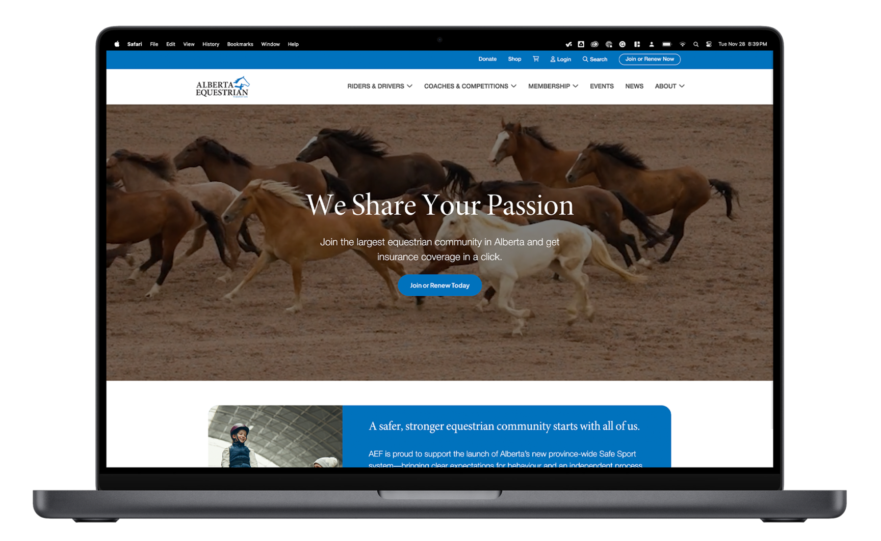 Mockup of the Alberta Equestrian Federation website.